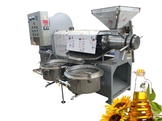 6yl-95a china manufacturer edible oil extraction machine