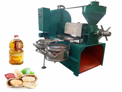 big oil expeller machine walnut oil press production line