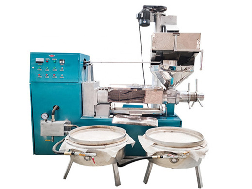 grape seed camellia seed oil press machine with free in uzbekistan