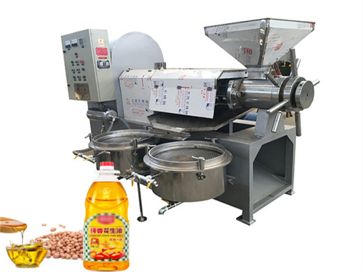 top sellingcold pressed almond oil press machine sunflower oil