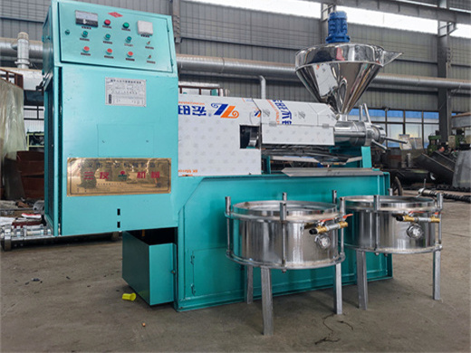 high quality the newest/design big oil press production line