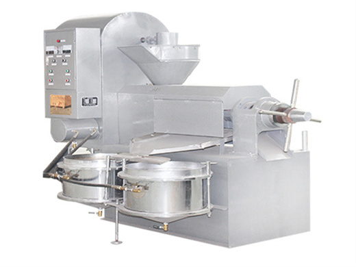 lk100ce approved automatic screw oil press/maize/corn germ oil