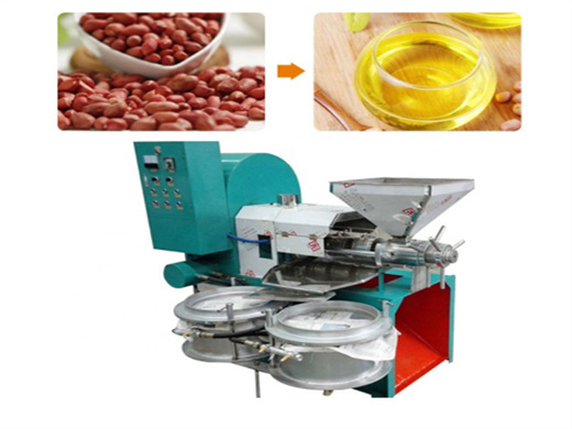 bangladesh 6yl-230 flaxseed oil extraction machine cold press oil