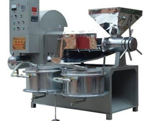 widely used screw sunflower seeds oil press machine-cooking oil on uzbekistan