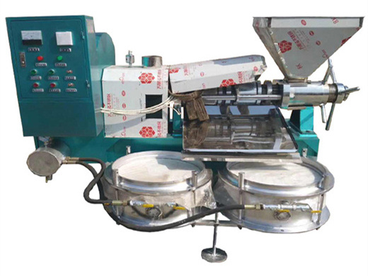 new type black seeds peanut oil machine in Kenya