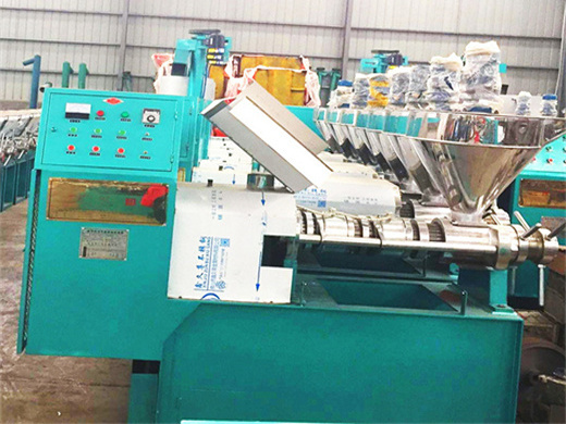 shell oil press machine sunflower seeds oil production line