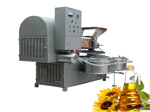 2014 best sale peanut oil press machine big cold press in Kenya