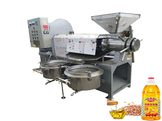 sunflower oil extraction machine for sale -factory price in somalia