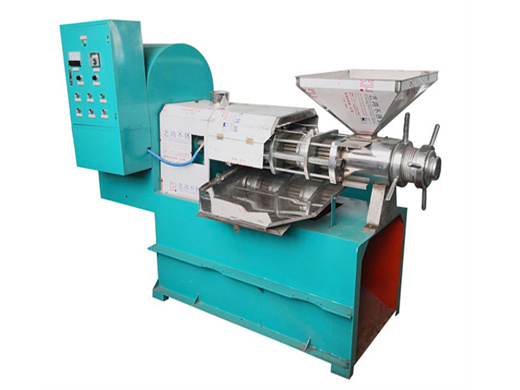 factory sale cold walnut oil production line extraction machine