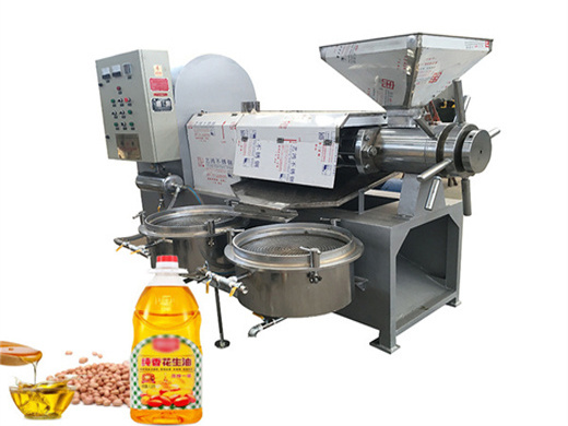 best selling peanut large oil press machine in Malawi