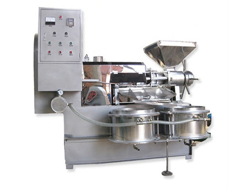 automatic peanut oil machine peanut oil cold press machine peanut