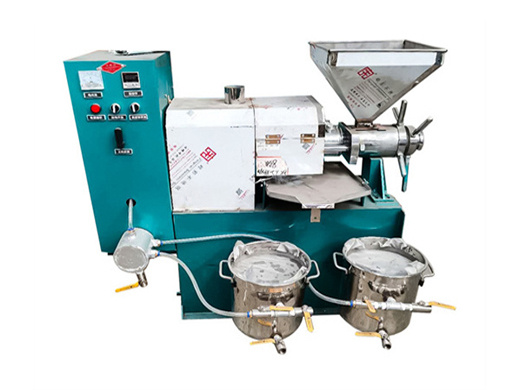 commercial home automatic peanut oil press machine price for sale