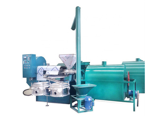 pumpkin seeds oil press extraction-automatic big oil press