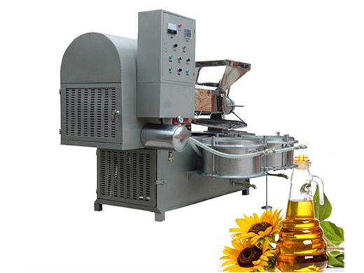 220v commercial 1800w automatic hot cold oil expeller oil press