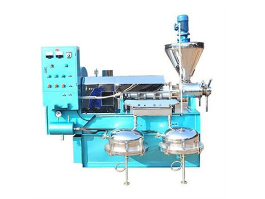 2025 new screw oil production line cake of corn germ castor