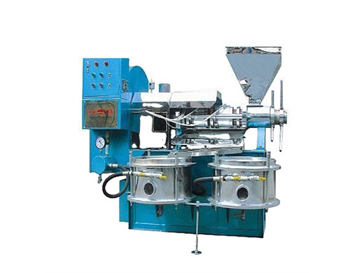 2025 less investment coconut oil press machine cost in indonesia