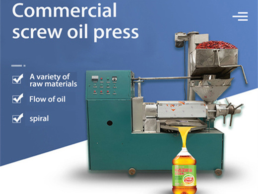 model 6yl-80 oil press machine oil extracting machine in Lesotho