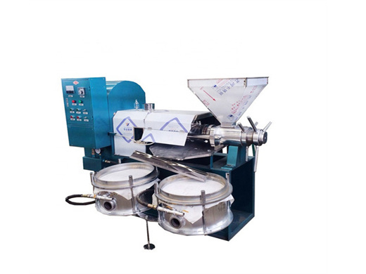 multifunction competitive price large cold press oil extraction machine