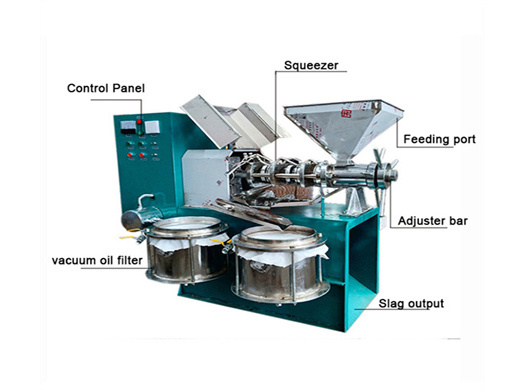 oil processing machine/peanut oil extraction machine in somalia