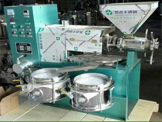 big black seed sunflower seed oil press production line automatic