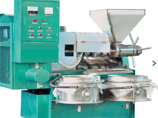 dl zyj01 hot selling coocnut big oil press production line