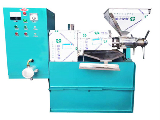 nut seed oil expeller oil press/pumpkin seed oil press machine