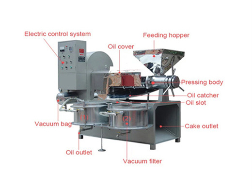 soybean oil press ostrich oil press machine cooking oil in kazakhstan