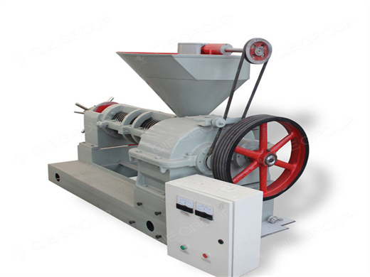 grape seed oil press machine commercial oil press machine for sale