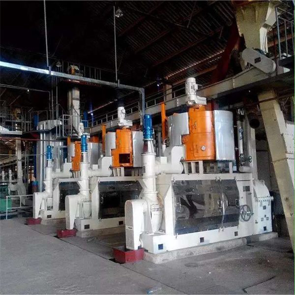 sunflower oil press machine commercial oil press oil pressing