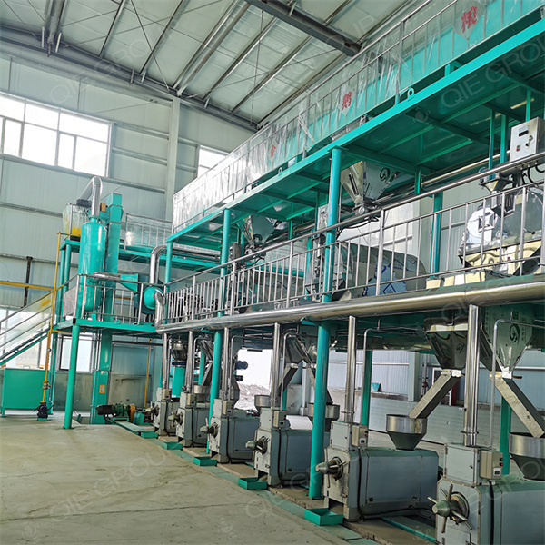 2025 hot selling use cold oil seed press with 3-6 kg/h in Mozambique