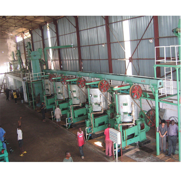 manufacturer screw oil extraction machine oil press machine in nepal