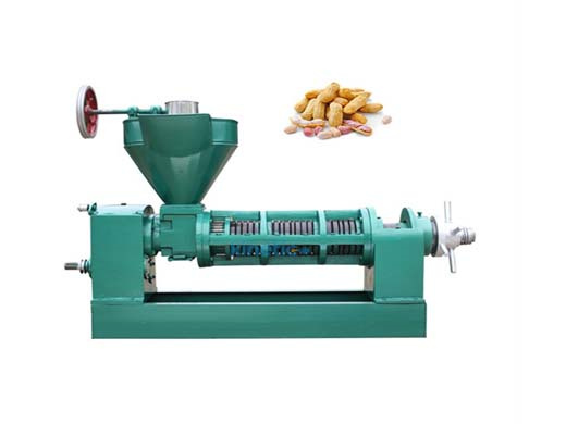 top sale seed walnut soybean oil press production line in Bangladesh