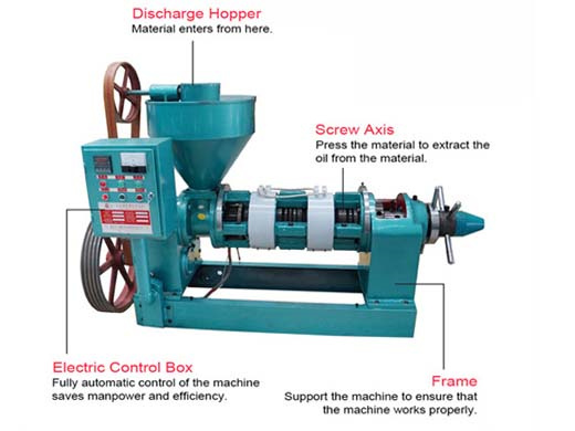 big oil press production line vegetable oil press production line