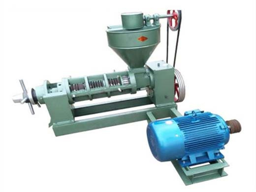 oil press seed for oil mill machine in saudi arabia