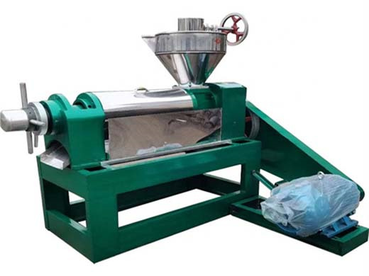 china large automatic coconut oil cold pressing machine china