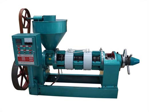 new type factory price big cold press oil machine home in Indonesia