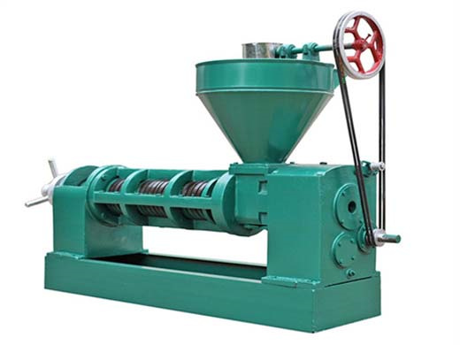 yzy260 soybean screw oil press machine from uzbekistan of russia