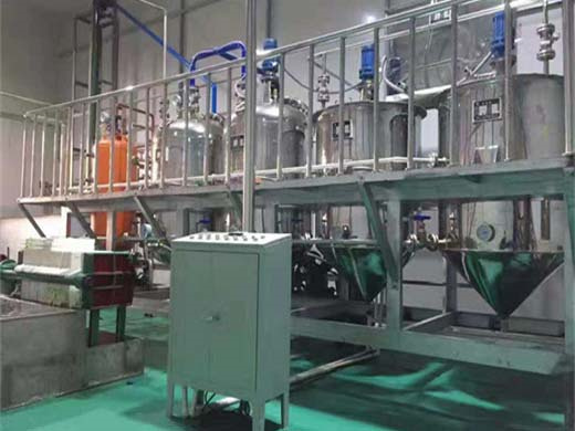 multi functional automatic corn germ oil making machine 6yl 68 oil