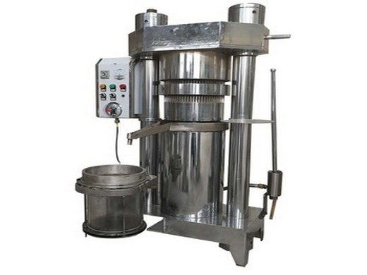 electrical big scale walnut oil sesame soy oil hydraulic press