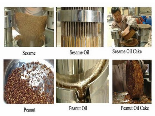 hydraulic pressure shea nut oil extraction machine coconut oil