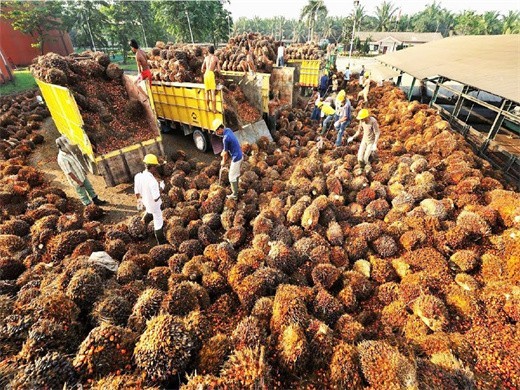 china factory promotion oil pressers asia palm oil mill on colombia