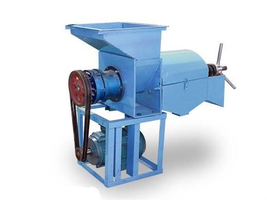 palm fruit oil expeller/palm oil press machine cost in Botswana