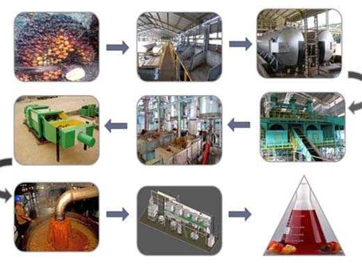 2025 new type big coconut palm oil mill machinery prices in ghana