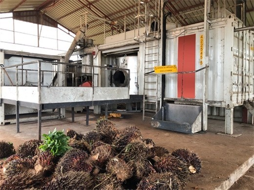 oil processing machine palm oil extraction machine costs