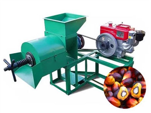 palm oil production machine buy 300-500kgph mini size palm oil