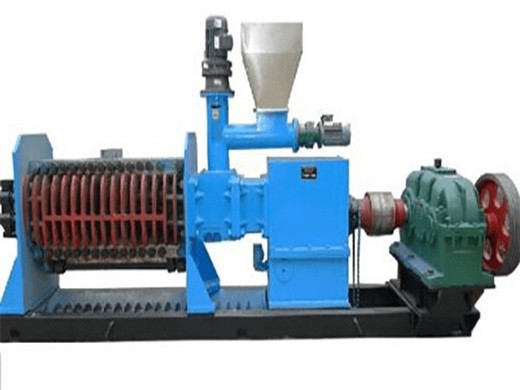 automatic palm kernel oil press machine big soybean seed