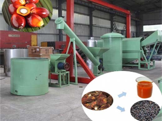 refined palm oil processing plant refined palm oil making plant