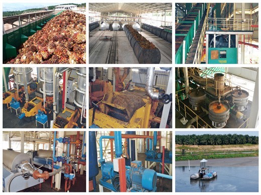 ethiopia palm oil suppliers for indonesia