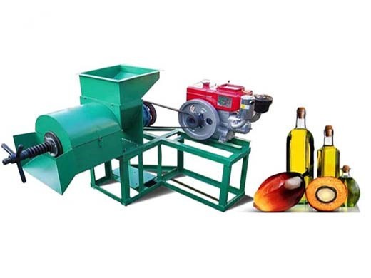 quality assurance cold press virgin palm oil expeller in India