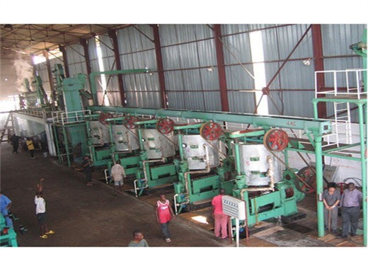 automatic nuts portable palm fruit oil press production line